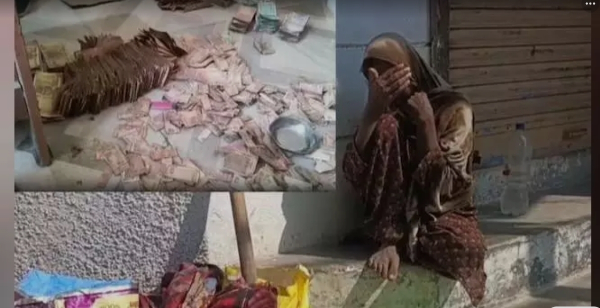 Screenshot_20251025_205911_Google