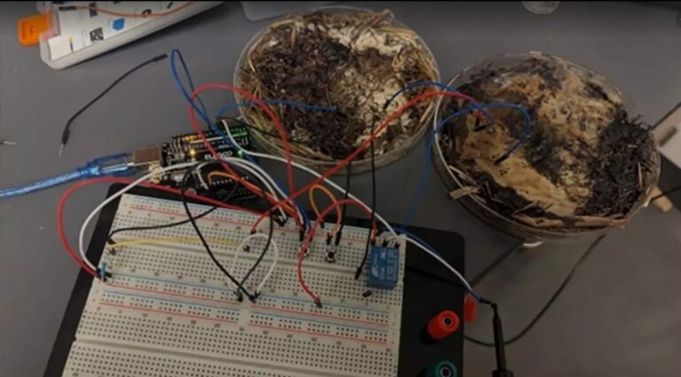 Screenshot_20251027_190323_Google