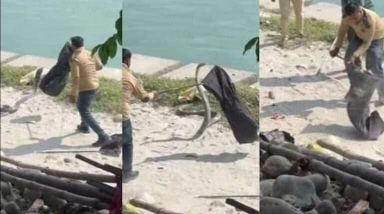 Screenshot_20251028_084046_WhatsApp