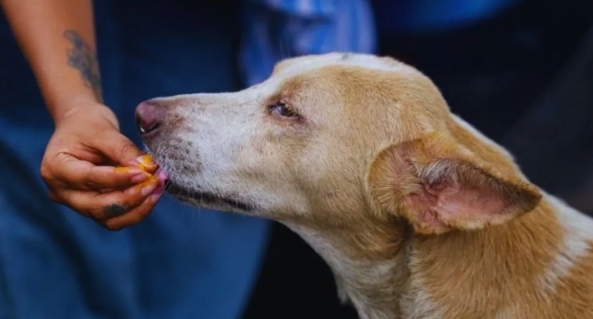 Screenshot_20251029_092703_Chrome