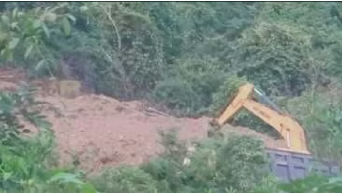 Screenshot_20251103_081639_Chrome