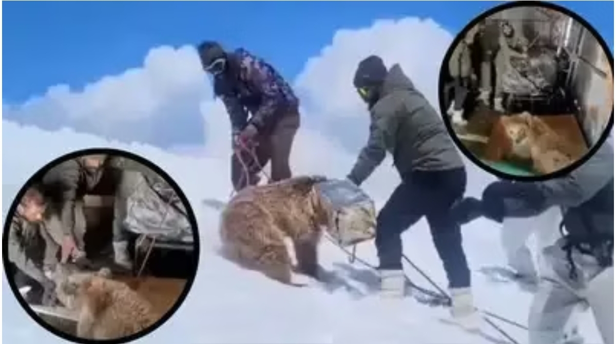 Screenshot_20251104_193429_Chrome