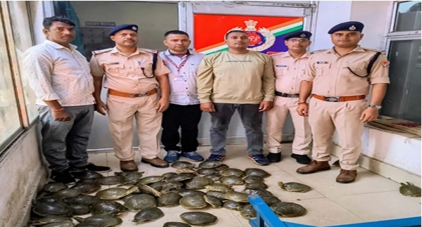 Screenshot_20251109_081849_Chrome