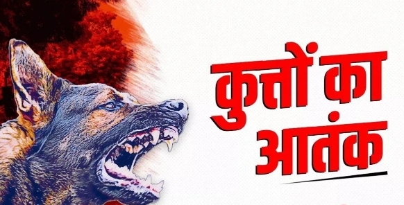 Screenshot_20251114_081419_Chrome