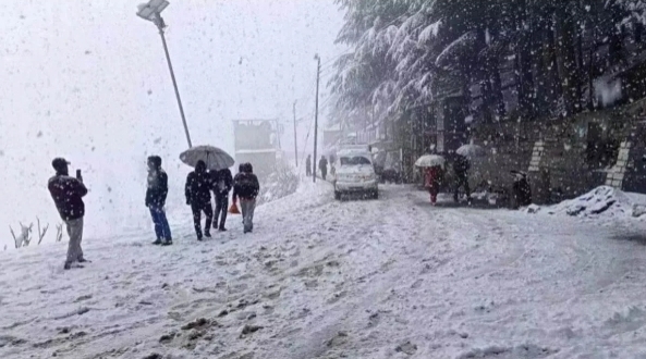 Screenshot_20251114_084955_Chrome