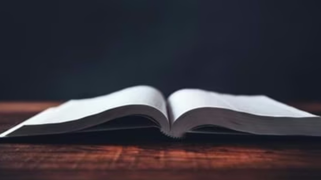 Screenshot_20251118_083906_Chrome