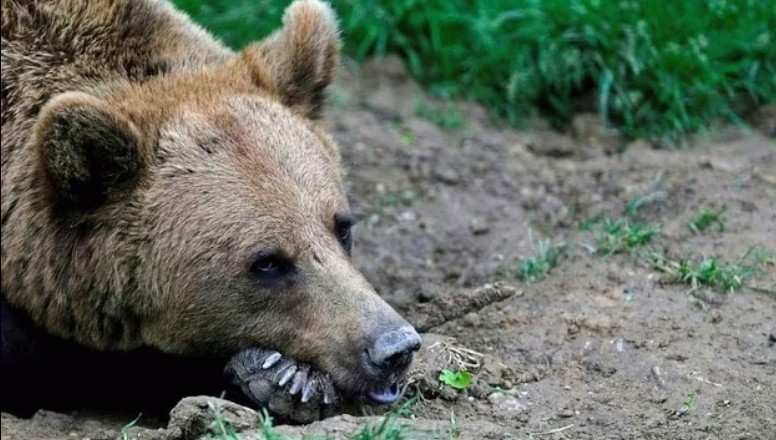 Screenshot_20251121-085947~2