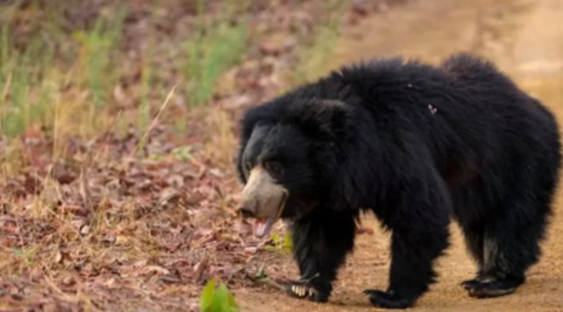 Screenshot_20251121_082840_Chrome