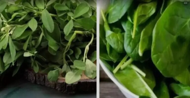 Screenshot_20251125_093325_Google