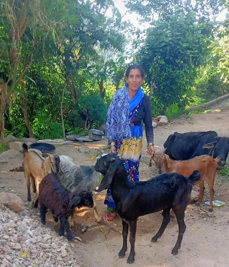 Screenshot_20251127-003553~2