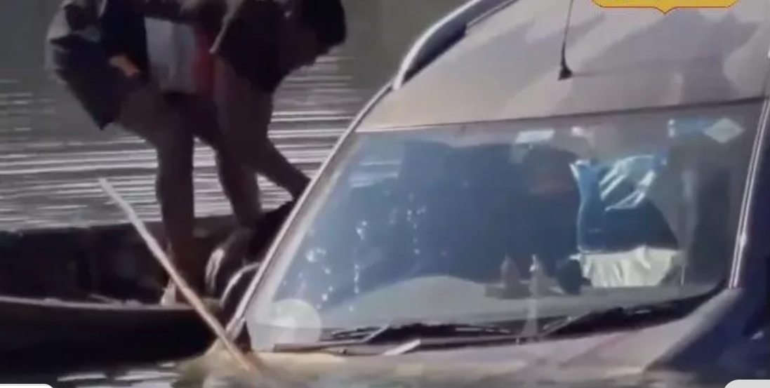 Screenshot_20251130_090801_Google