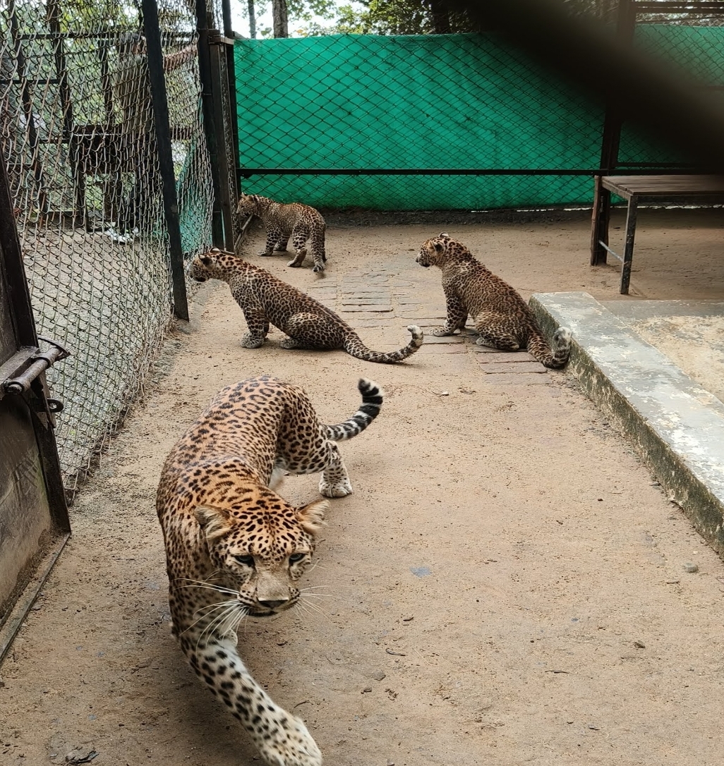 Screenshot_20251201_083928_Chrome