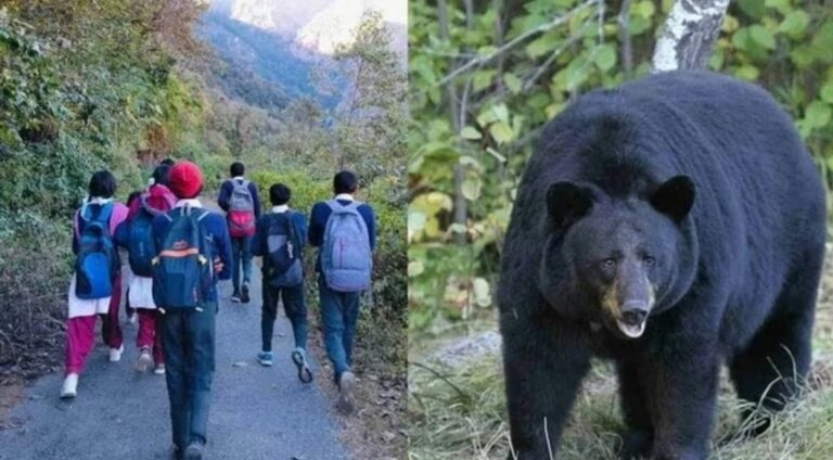 Screenshot_20251203_090420_Chrome