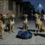 Screenshot_20251205_090639_Chrome