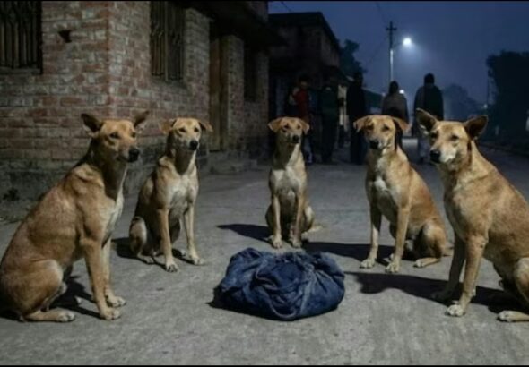 Screenshot_20251205_090639_Chrome