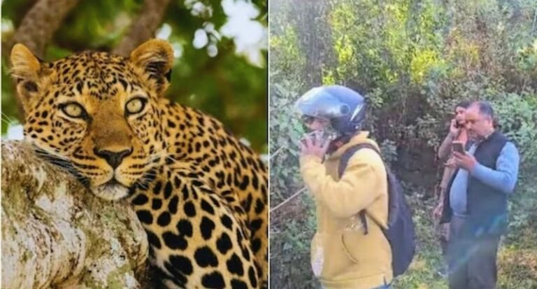 Screenshot_20251207-093212~2