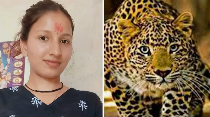 Screenshot_20251208-092740~2