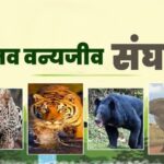 Screenshot_20251211_084342_Chrome