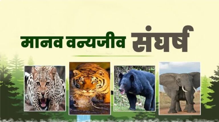 Screenshot_20251211_084342_Chrome