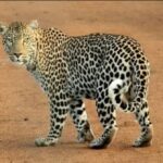 Screenshot_20251211_093451_Chrome