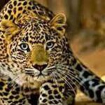 Screenshot_20251212_093041_Chrome