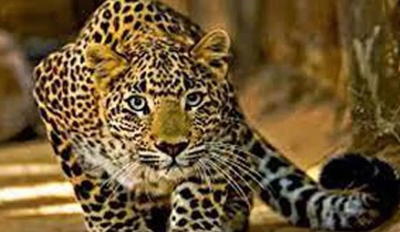 Screenshot_20251212_093041_Chrome