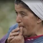 Screenshot_20251215_094823_Google