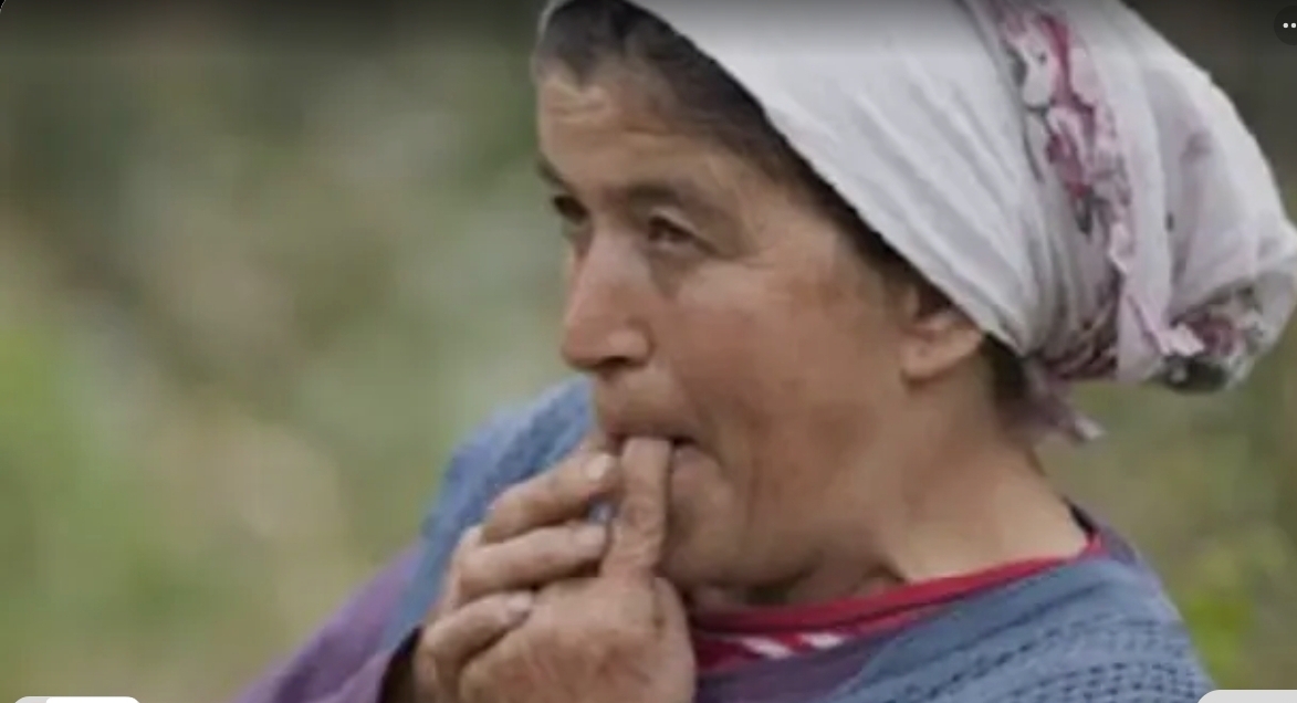 Screenshot_20251215_094823_Google