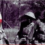 Screenshot_20251217_085639_Chrome