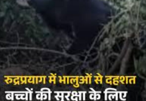 Screenshot_20251219_084043_Google