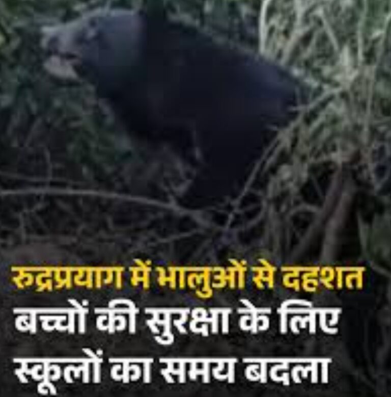 Screenshot_20251219_084043_Google