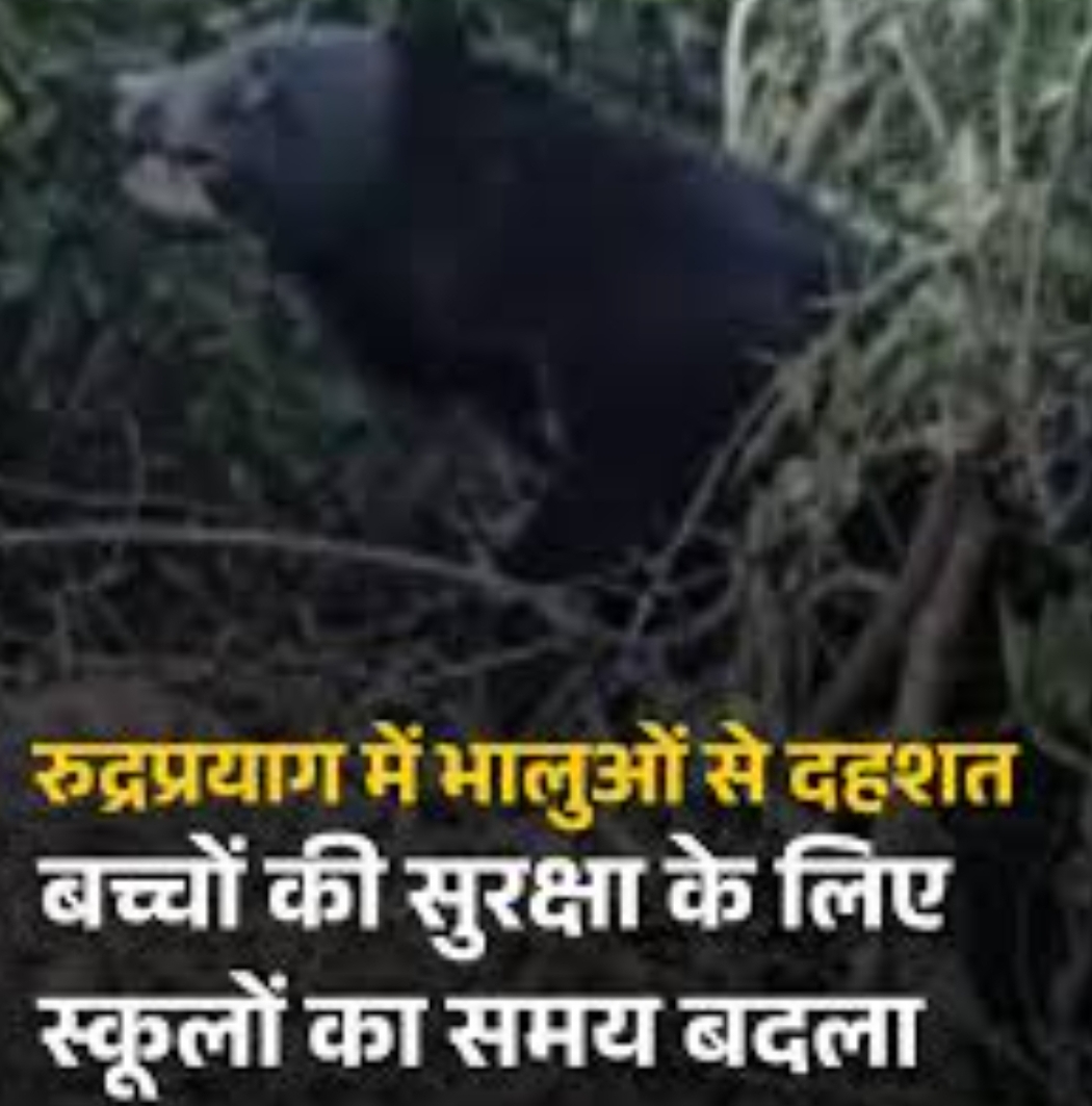 Screenshot_20251219_084043_Google