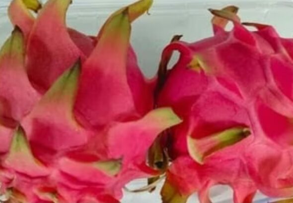 Screenshot_20251220_093020_Chrome