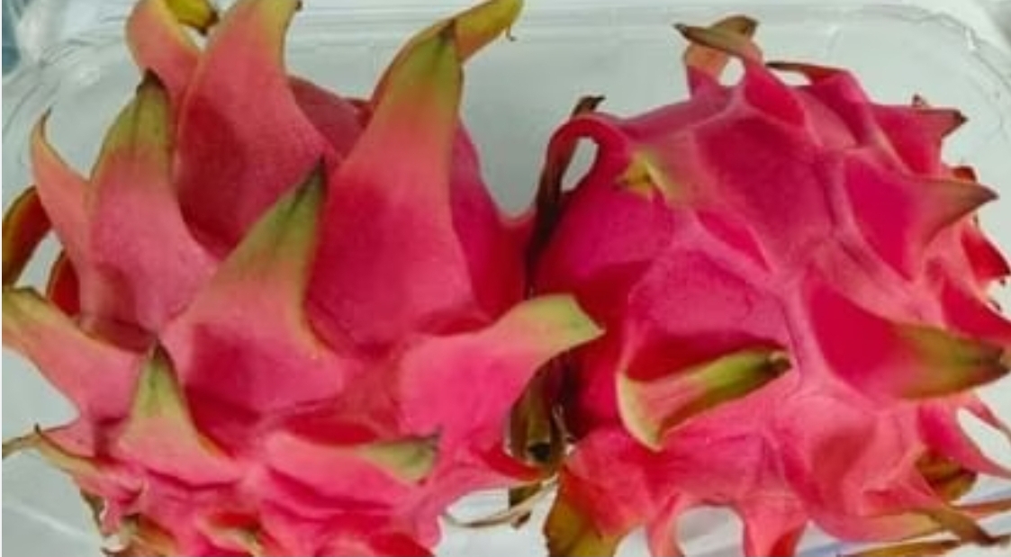 Screenshot_20251220_093020_Chrome