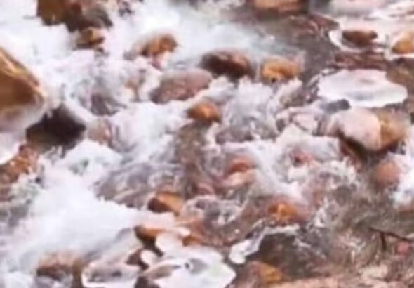 Screenshot_20251221_091602_Chrome