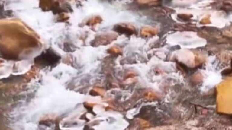 Screenshot_20251221_091602_Chrome