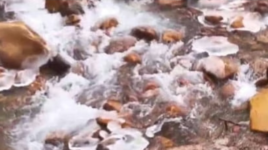 Screenshot_20251221_091602_Chrome