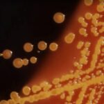 Screenshot_20251222_092121_Google