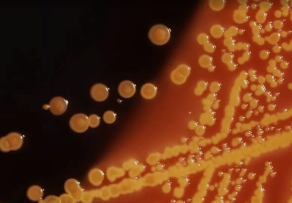 Screenshot_20251222_092121_Google