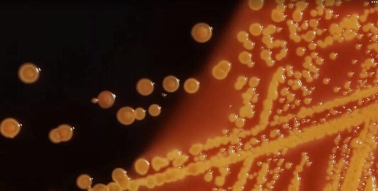 Screenshot_20251222_092121_Google