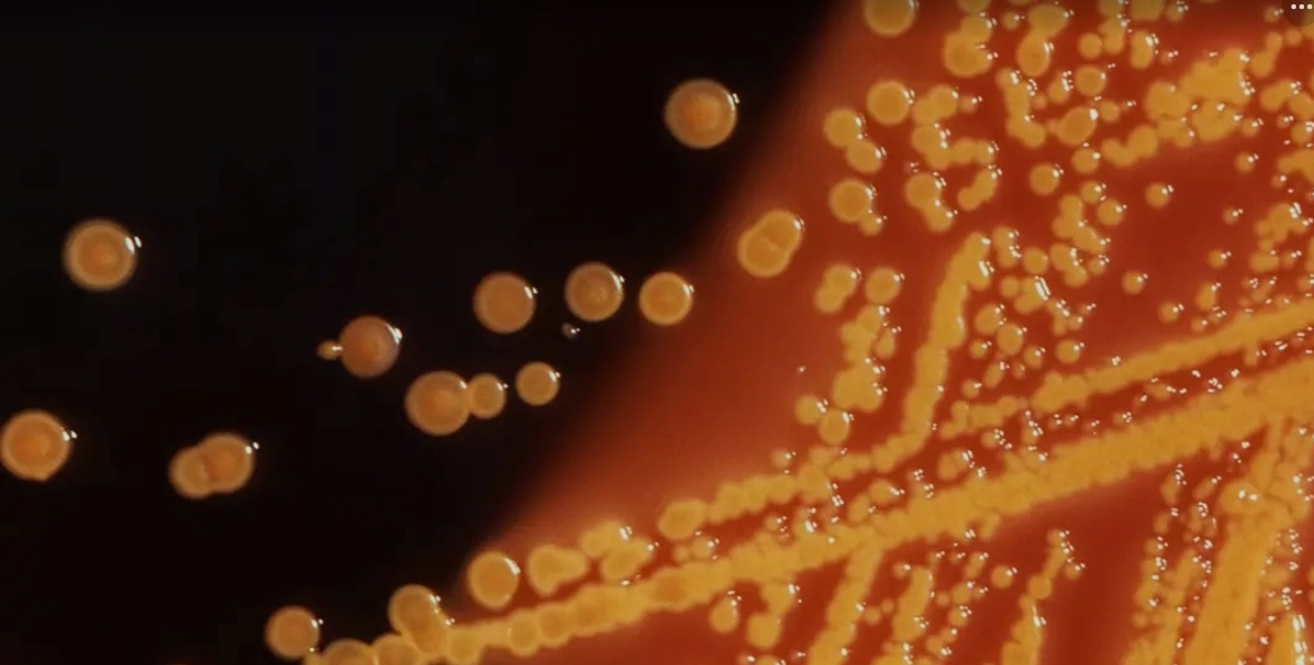 Screenshot_20251222_092121_Google