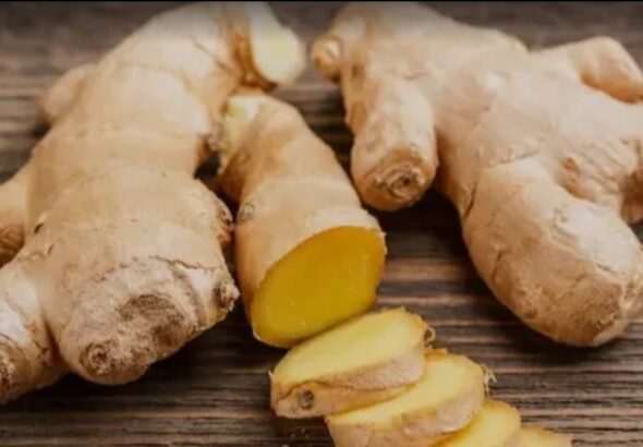 Screenshot_20251225_091702_Google