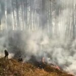 Screenshot_20251226_091335_Chrome