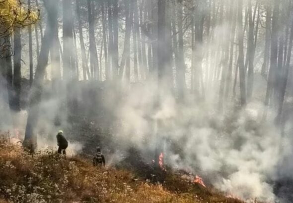 Screenshot_20251226_091335_Chrome