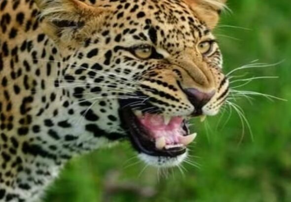 Screenshot_20251227-083505~2