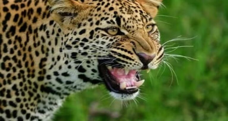 Screenshot_20251227-083505~2