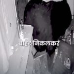 Screenshot_20251229-100412~2