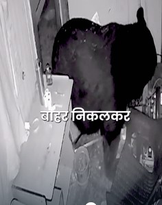 Screenshot_20251229-100412~2