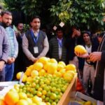 Screenshot_20260105-082543~2