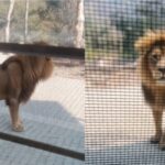 Screenshot_20260110_091957_Chrome